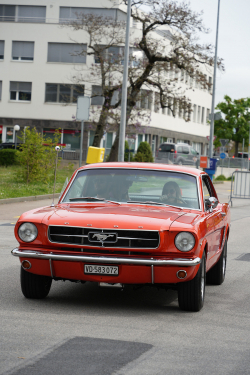 American Backstage #11 - Photo 47