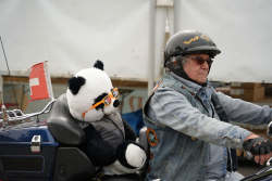 American Backstage #11 - Photo 75