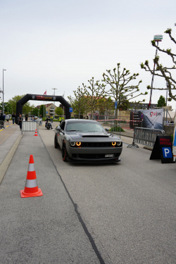 American Backstage #11 - Photo 84