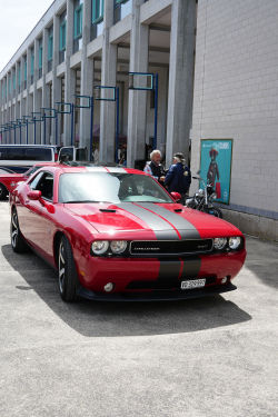 American Backstage #11 - Photo 103