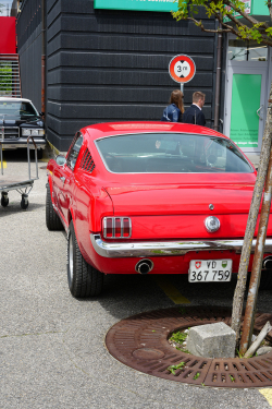 American Backstage #11 - Photo 111