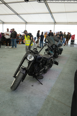 American Backstage #11 - Photo 140
