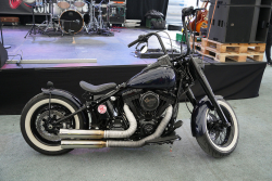 American Backstage #11 - Photo 142