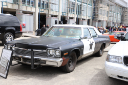 American Backstage #11 - Photo 167