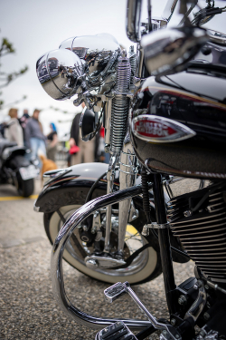 American Backstage #11 - Photo 367