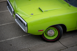 American Backstage #11 - Photo 500