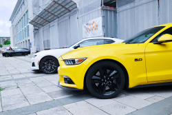 American Backstage #12 - Photo 2