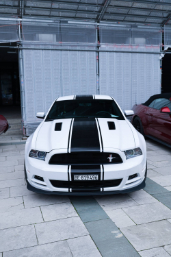 American Backstage #12 - Photo 5