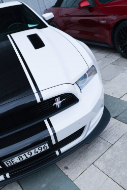 American Backstage #12 - Photo 6