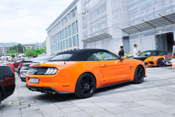 American Backstage #12 - Photo 9