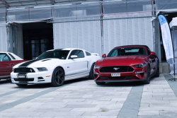 American Backstage #12 - Photo 10