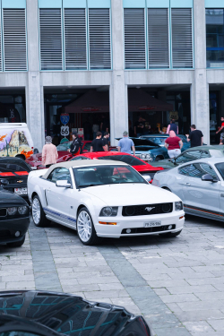 American Backstage #12 - Photo 19