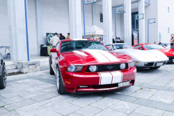 American Backstage #12 - Photo 24