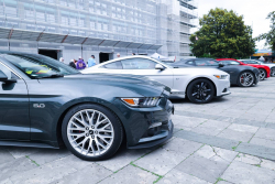 American Backstage #12 - Photo 26