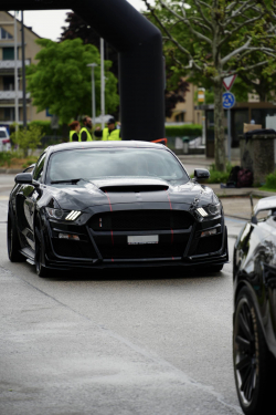 American Backstage #12 - Photo 33