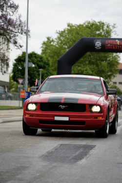 American Backstage #12 - Photo 55