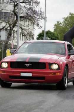 American Backstage #12 - Photo 56