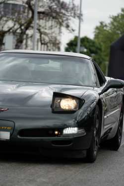 American Backstage #12 - Photo 58