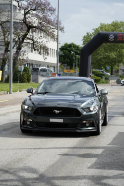 American Backstage #12 - Photo 71