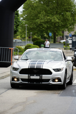 American Backstage #12 - Photo 73