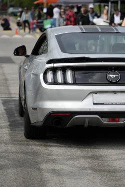 American Backstage #12 - Photo 74