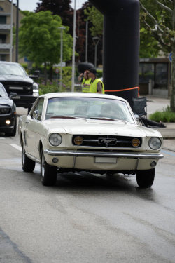 American Backstage #12 - Photo 79