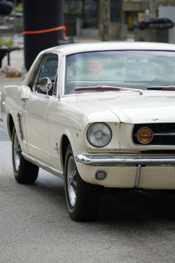 American Backstage #12 - Photo 80