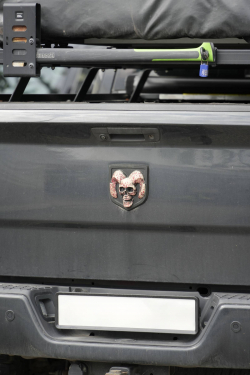 American Backstage #12 - Photo 82