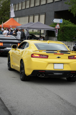 American Backstage #12 - Photo 89