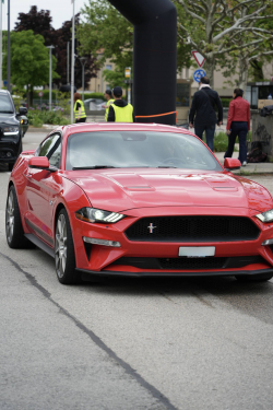 American Backstage #12 - Photo 93