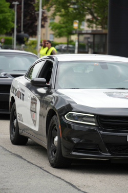 American Backstage #12 - Photo 95