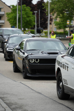 American Backstage #12 - Photo 96