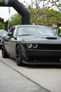 American Backstage #12 - Photo 97