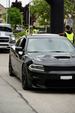 American Backstage #12 - Photo 99