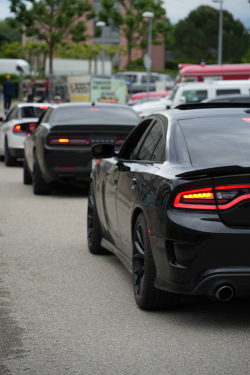 American Backstage #12 - Photo 103