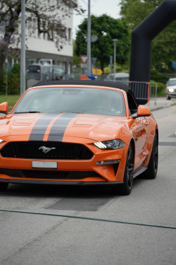 American Backstage #12 - Photo 105