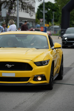 American Backstage #12 - Photo 106