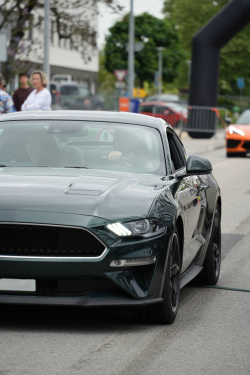 American Backstage #12 - Photo 107