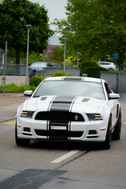 American Backstage #12 - Photo 108