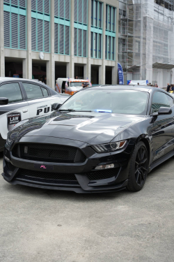 American Backstage #12 - Photo 112