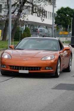 American Backstage #12 - Photo 119