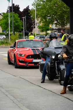 American Backstage #12 - Photo 126