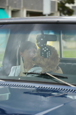 American Backstage #12 - Photo 128