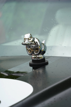 American Backstage #12 - Photo 134