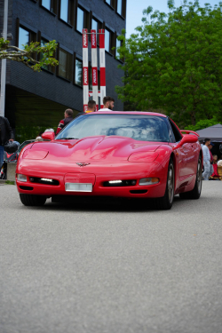 American Backstage #12 - Photo 140