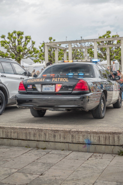 American Backstage #12 - Photo 152