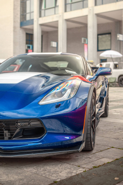 American Backstage #12 - Photo 153