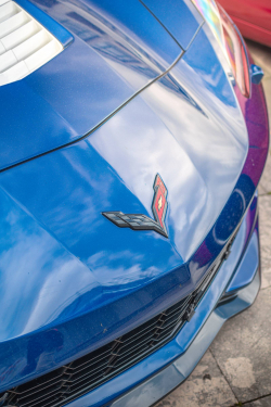 American Backstage #12 - Photo 154