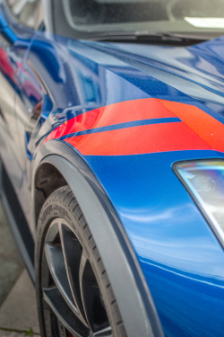 American Backstage #12 - Photo 155