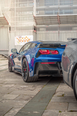 American Backstage #12 - Photo 161